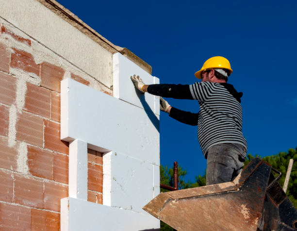 Best Insulation Maintenance and Repair in Brandon, SD